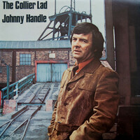 Avatar for the title's primary artist Johnny Handle