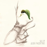 Avatar for the related artist Julien Piacentino