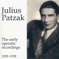 Avatar for the related artist Julius Patzak