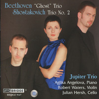 Avatar for the related artist Jupiter Trio
