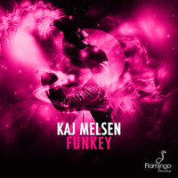 Image of Kaj Melsen linking to their artist page due to link from them being at the top of the main table on this page