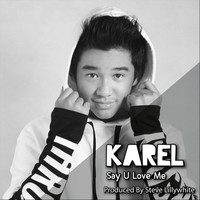 Avatar for the title's primary artist Karel