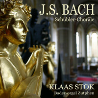 Avatar for the related artist Klaas Stok