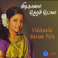 Avatar for the title's primary artist Krishna Iyer