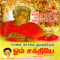Image of Krishnaraj linking to their artist page due to link from them being at the top of the main table on this page