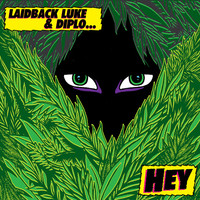 Avatar for the title's primary artist Laidback Luke & Diplo