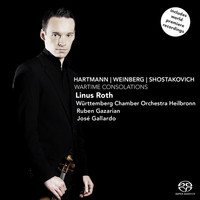 Avatar for the related artist Linus Roth