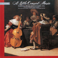 Avatar for the title's primary artist Little Consort Amsterdam