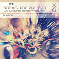 Avatar for the title's primary artist Llupa