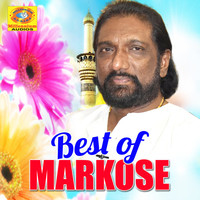 Avatar for the title's primary artist Markose