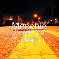 Avatar for the related artist Meechie