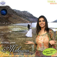 Avatar for the artist Meenal Jain