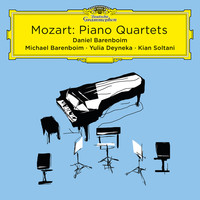Avatar for the related artist Michael Barenboim