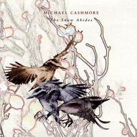 Avatar for the related artist Michael Cashmore