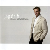 Avatar for the related artist Mikael Järlestrand