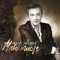 Avatar for the related artist Miroslav Skoro