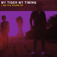Avatar for the related artist My Tiger My Timing