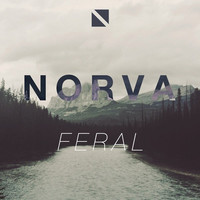 Avatar for the related artist Norva