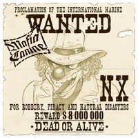 Avatar for the artist NX