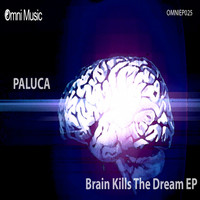 Avatar for the related artist Paluca