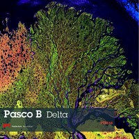 Avatar for the related artist Pasco B