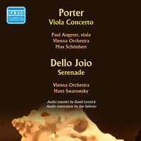 Avatar for the related artist Paul Angerer