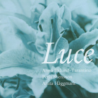 Avatar for the related artist Petja Svensson
