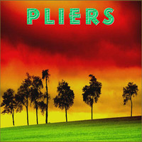 Avatar for the title's primary artist Pliers
