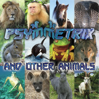 Avatar for the related artist Psymmetrix