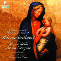 Avatar for the artist Riccardo Villani