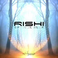 Image of Rishi linking to their artist page due to link from them being at the top of the main table on this page