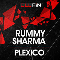 Avatar for the related artist Rummy Sharma