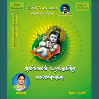 Avatar for the title's primary artist Saindavi
