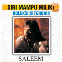 Avatar for the related artist Saleem