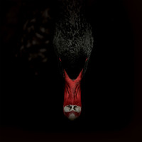 Avatar for the title's primary artist Sankt Otten