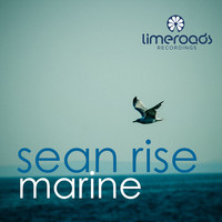 Avatar for the related artist Sean Rise