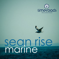 Image of Sean Rise linking to their artist page due to link from them being at the top of the main table on this page