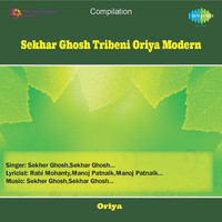 Image of Sekhar Ghosh linking to their artist page due to link from them being at the top of the main table on this page
