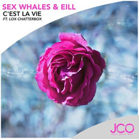 Avatar for the related artist Sex Whales