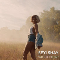 Avatar for the related artist Seyi Shay