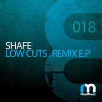 Avatar for the related artist Shafe