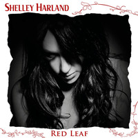 Avatar for the title's primary artist Shelley Harland