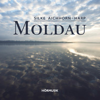 Avatar for the related artist Silke Aichhorn