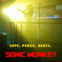 Avatar for the related artist Sonic Monkey