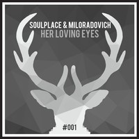 Avatar for the artist Soulplace
