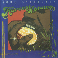Avatar for the related artist Soul Syndicate