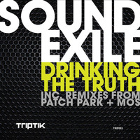 Avatar for the title's primary artist Soundexile
