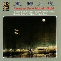 Avatar for the related artist Stamic Quartet