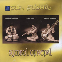 Avatar for the related artist Surendra