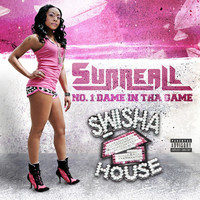 Avatar for the artist Surreall